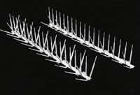 Plastic Bird Spike - Don't use it in Arizona