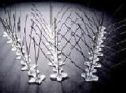 Bird Spike for pigeons and large birds