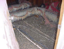 Pigeon have been living in this attic for a very long time