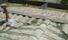Pigeons on roof top - note nest and 2 eggs out in the open