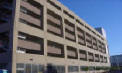 Parking Garage pigeons