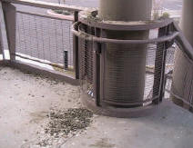Pigeon poop on hand railing to a church - they had to clean it up every Sunday before church