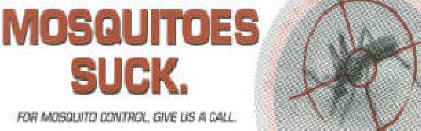 Mosquitoes suck bumper sticker