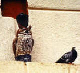 Plastic owl with pigeons on it - Owls don't work