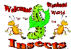 Welcome to The Wonderful World of Insects gif