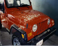 Jeep parked all day gets lots of pigeon poop on the hood