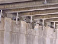 Freeway Underpass Net