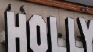 Pigeons making a mess by nesting & roosting on the tops of video store
