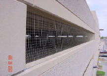 View of the netting from the outside