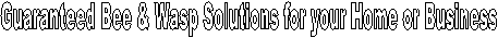 Guaranteed Bee & Wasp Solutions for your Home or Business